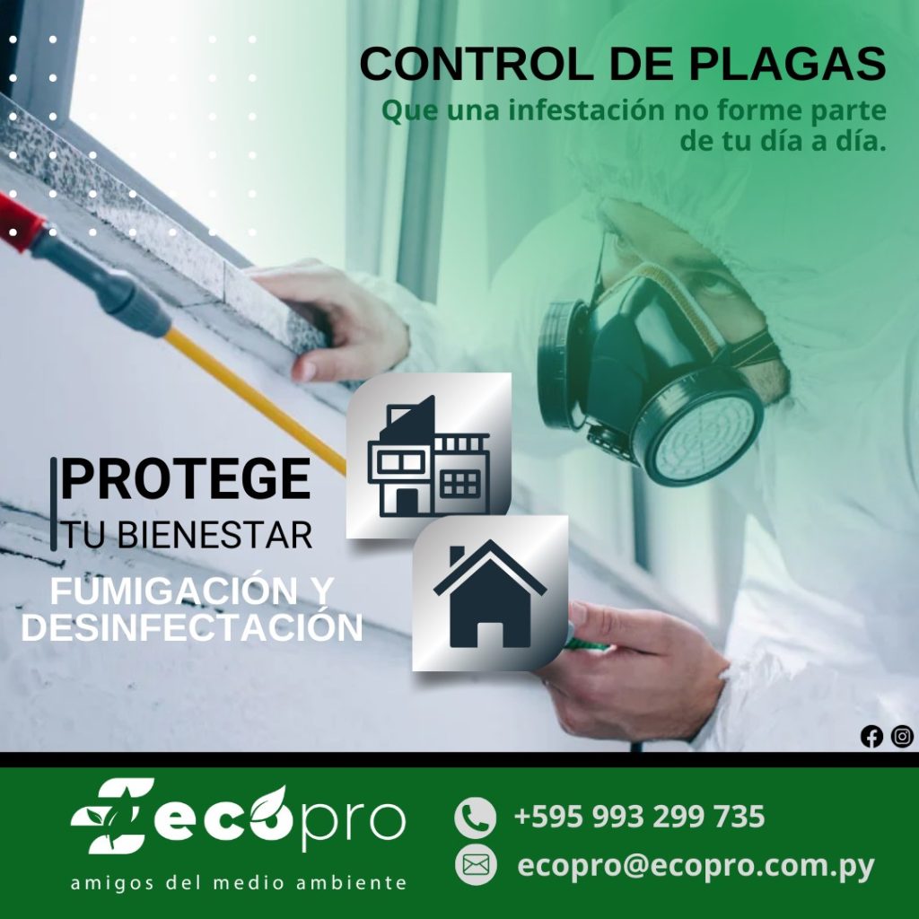 Plagas e insectos